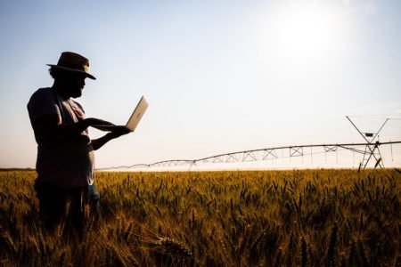 Engenheiro agrônomo tem vasto campo de trabalho