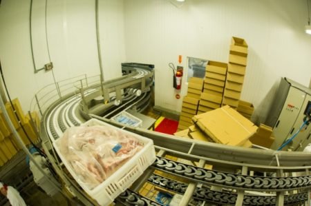Mais que triplicou: agora 13 frigoríficos podem exportar carne suína à Rússia