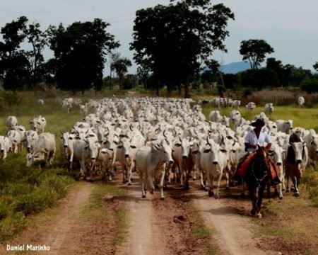 Médias Sindicato Rural de Lavras do Sul