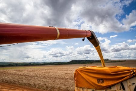 Soja desce a reboque do dólar