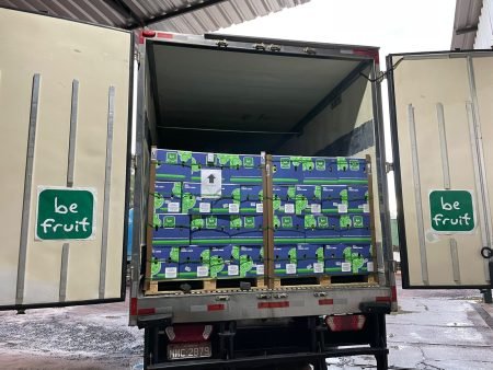 Brasil envia a primeira carga, de 24 toneladas, de limão ao Chile