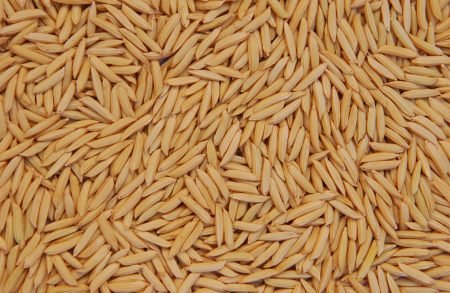 Arroz preocupante: cenário baixista ao produtor