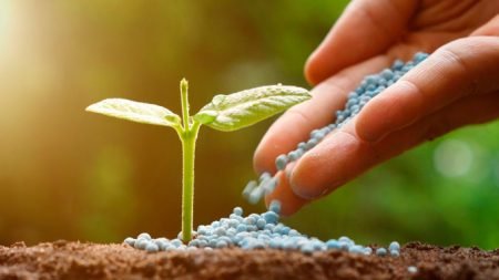 Entrega de fertilizantes em queda