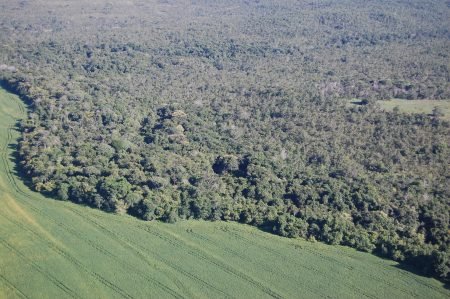 Congresso Brasileiro de Soja destaca a sustentabilidade do agro brasileiro