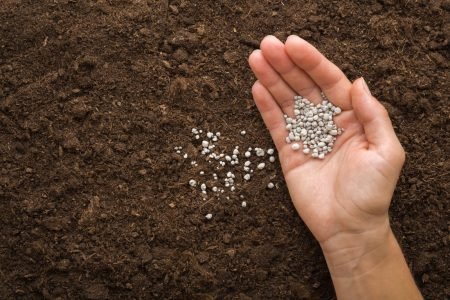 Em busca de fertilizantes na Jordânia, Egito e Marrocos