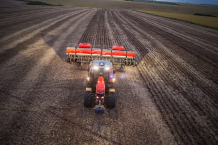 Soja no Brasil: mais área e mais produção. E alta produtividade