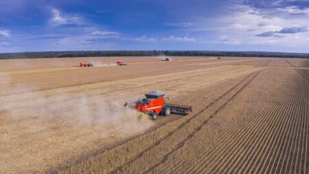 Recuo do PIB do agronegócio no trimestre e semestre