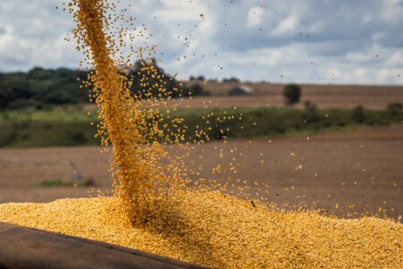 Soja: mercado atento ao clima na América do Sul. Por aqui, olho no câmbio