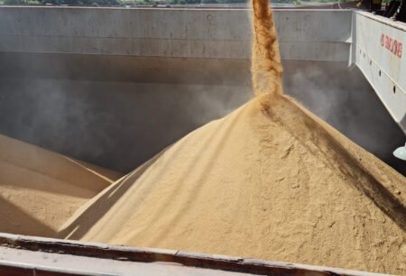 Negócio fechado de  30 mil toneladas de arroz para o México