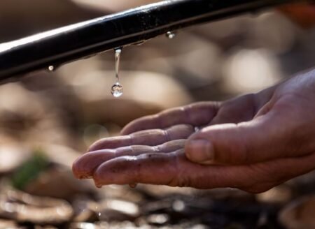 A fundamental irrigação frente às intempéries climáticas