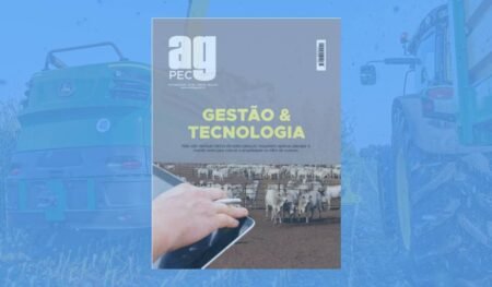 Veja como implementar gestão na fazenda pecuária