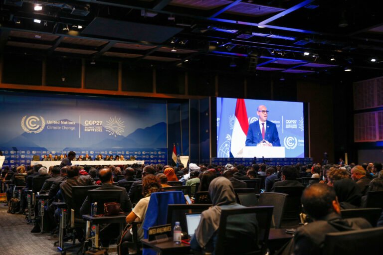 COP27: com Banco Mundial, Brasil anuncia ação de proteção ao cerrado e aumento da agropecuária de baixa emissão de carbono