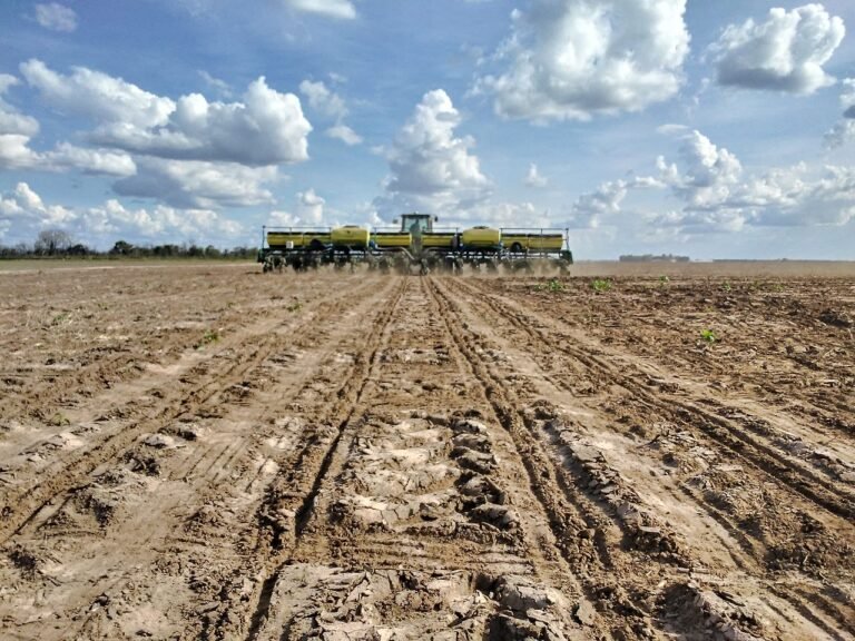 Oeste Baiano finaliza plantio do algodão de sequeiro