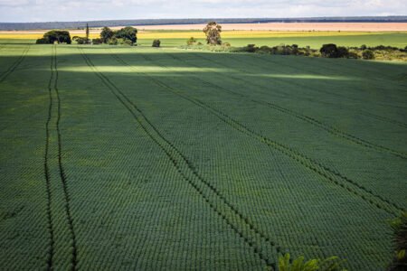 Queda das cotações reflete no avanço modesto de 0,19% do PIB do agronegócio no primeiro trimestre