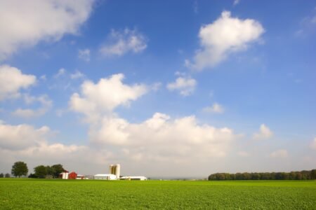 Clima americano volta a ganhar mais atenções do mercado da soja