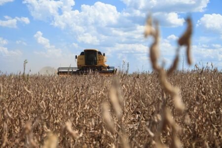 Porque o Brasil vai exportar menos soja em 2024