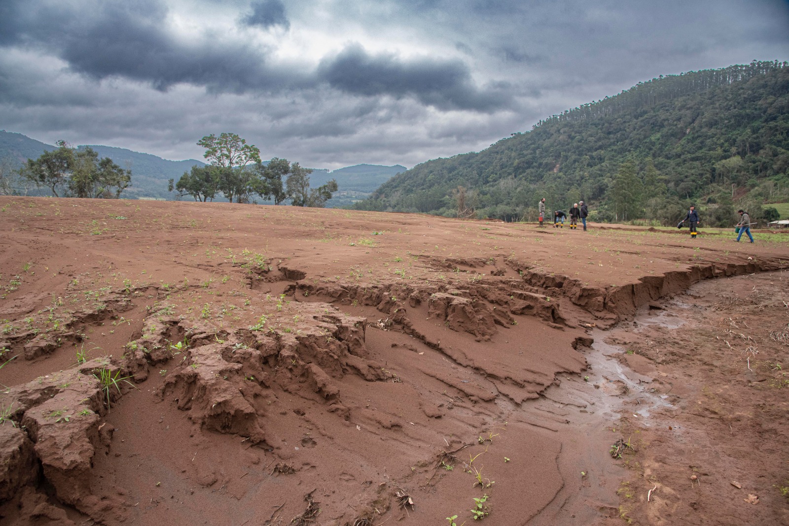 Recuperação dos solos agriculturáveis após as enchentes do RS ganha publicações com recomendações técnicas