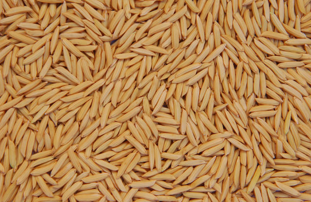 Exportações de arroz estão inferiores às do ano passado