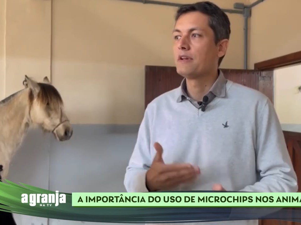 A importância da microchipagem de animais