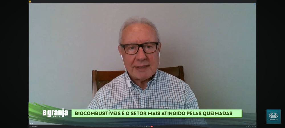 “97% a 99% das queimadas são criminosas”, estima dirigente de biocombustíveis