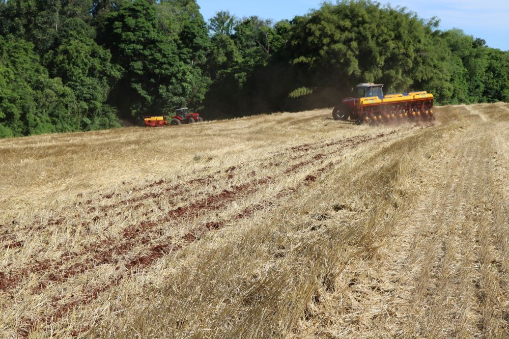 Plantio da soja ainda é mínimo no Rio Grande do Sul 