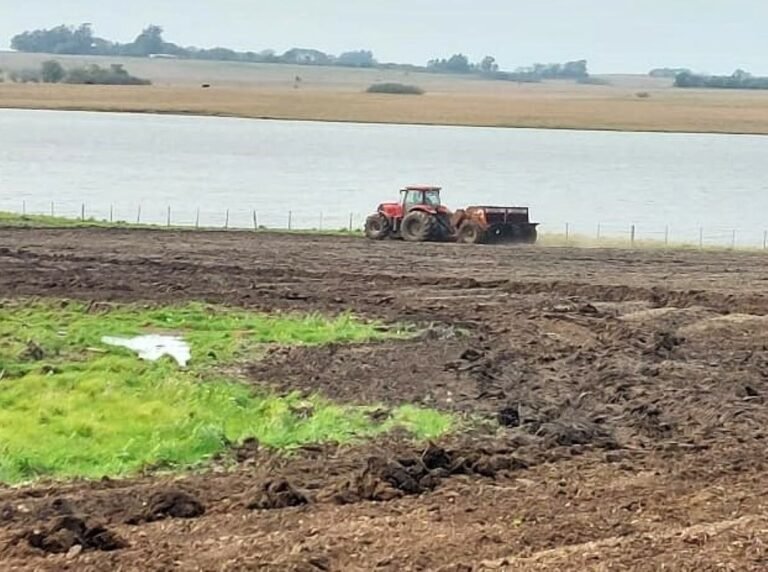 Chuvas seguram a evolução da semeadura de arroz no RS, que se aproxima de 10%