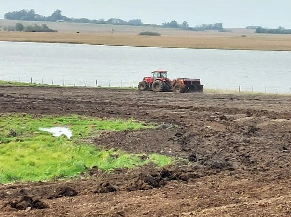 Chuvas seguram a evolução da semeadura de arroz no RS, que se aproxima de 10%