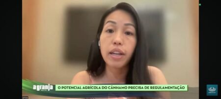 Autorização para cultivo de cannabis abre possibilidades para setores como celulose, alimentos e biocombustíveis