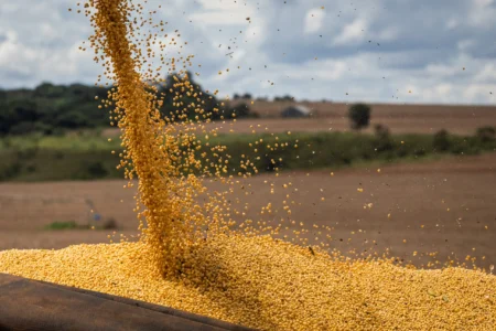 O que esperar do agro brasileiro em 2025, segundo projeções da CNA