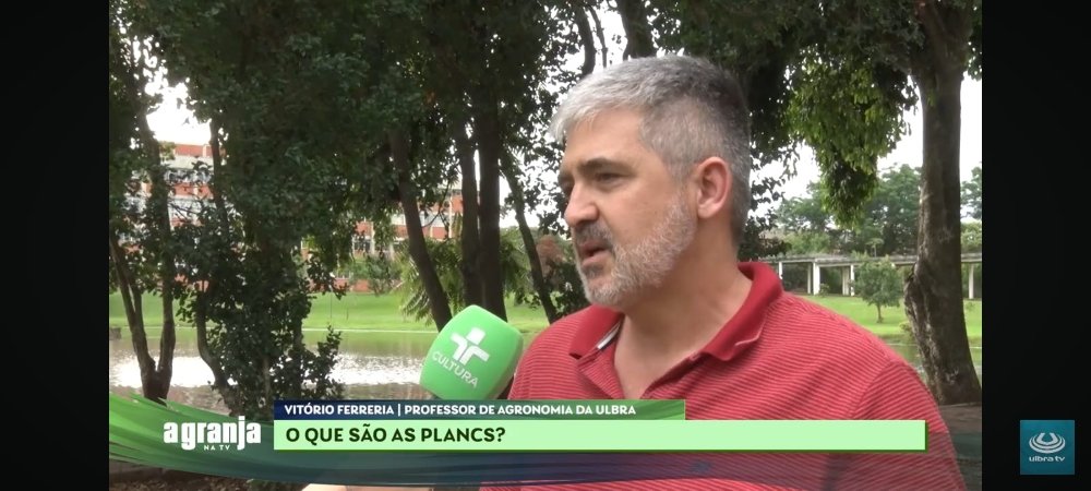 Você sabe o que são as plancs, as plantas alimentícias não convencionais?